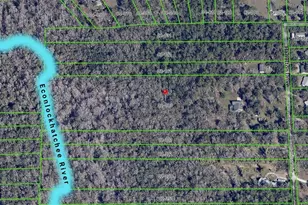 802 Hamilton Dr, Orlando, FL 32833 - Photo 4