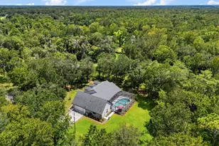 802 Hamilton Dr, Orlando, FL 32833 - Photo 12