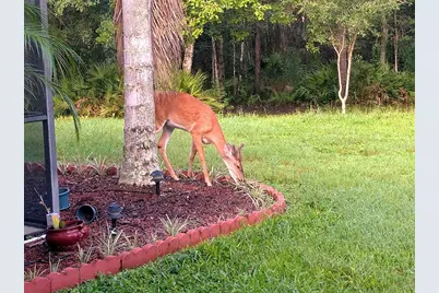 802 Hamilton Drive, Orlando, FL 32833 - Photo 6