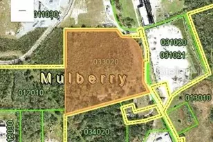 0 Prairie Mine Rd, Mulberry, FL 33860 - Photo 1