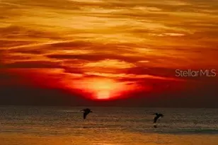 1575 Ocean Shore Blvd, Ormond Beach, FL 32176 - Photo 34