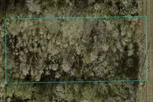 1366 Co Rd 305, Bunnell, FL 32110 - Photo 1