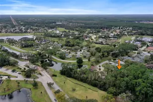 3 Treetop Trail, Ormond Beach, FL 32174 - Photo 48