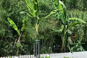 5 Buffalo Berry Pl, Palm Coast, FL 32137 - Photo 58