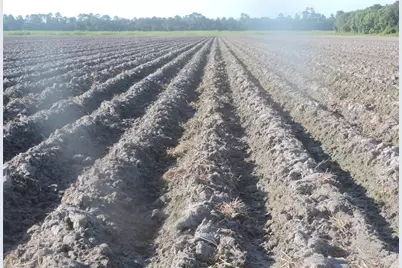 County Road 108 Road, Bunnell, FL 32110 - Photo 2