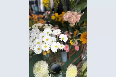 1150 Douglas Avenue #1090, Altamonte Springs, FL 32714 - Photo 1