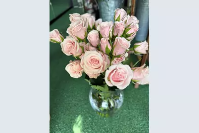 1150 Douglas Avenue #1090, Altamonte Springs, FL 32714 - Photo 2