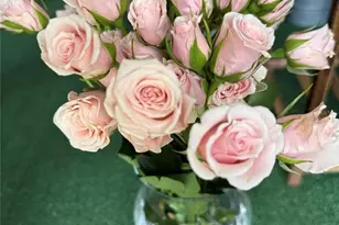 1150 Douglas Ave, Altamonte Springs, FL 32714 - Photo 2