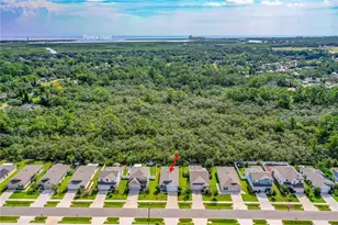 2815 Westwood Ave, New Smyrna Beach, FL 32168 - Photo 12