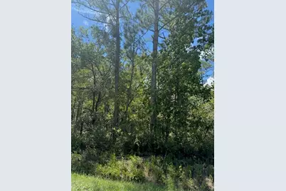 10345 Gregory Avenue, Hastings, FL 32145 - Photo 1