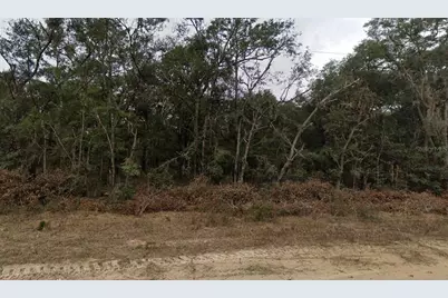 713 Brett Avenue, Interlachen, FL 32148 - Photo 2