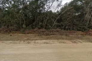 713 Brett Ave, Interlachen, FL 32148 - Photo 1