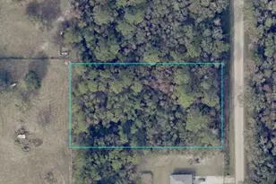 10225 W Zigler Ave, Hastings, FL 32145 - Photo 1