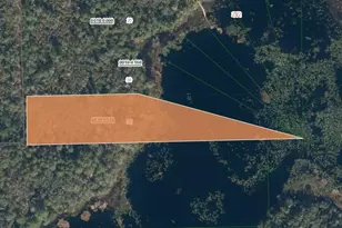 Xx Creasman Rd, Crescent City, FL 32112 - Photo 1