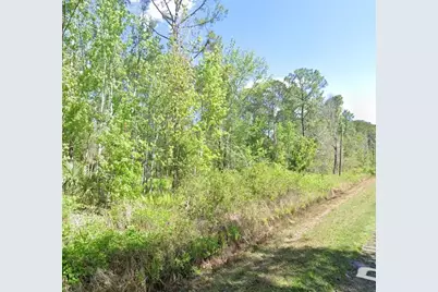 210 Redwood Boulevard, Georgetown, FL 32139 - Photo 2