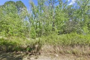 210 Redwood Blvd, Georgetown, FL 32139 - Photo 1