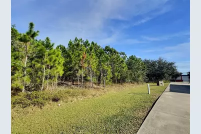 0 N State Street, Bunnell, FL 32110 - Photo 4