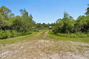 2341 Coconut Blvd, Bunnell, FL 32110 - Photo 38