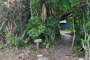 2036 S Flagler Ave, Flagler Beach, FL 32136 - Photo 10