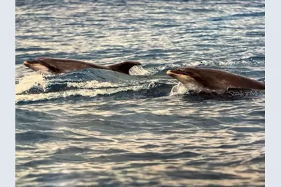 3715 N Ocean Shore Boulevard, Palm Coast, FL 32137 - Photo 14