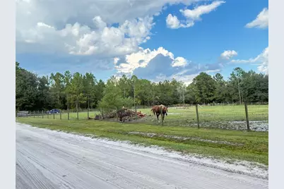 4334 Lori Loop Road, Keystone Heights, FL 32656 - Photo 8