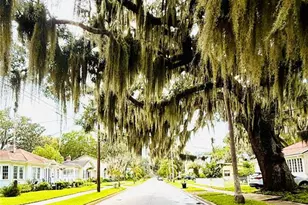 57 Fullerwood Dr, Saint Augustine, FL 32084 - Photo 6