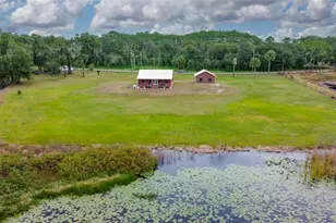 2309 McBride Rd, Seville, FL 32190 - Photo 4