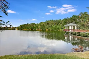 359 Sunstone Ct, Orange Park, FL 32065 - Photo 26