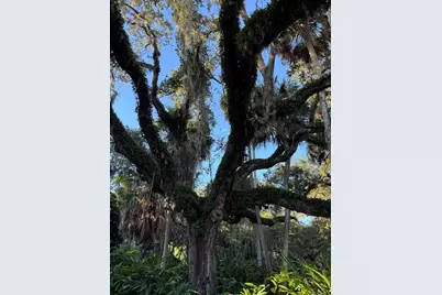 15 Debra Drive, Palm Coast, FL 32137 - Photo 42