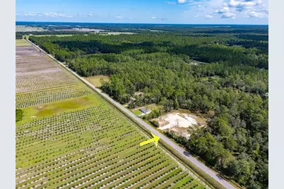 10340 Isaacson Avenue, Hastings, FL 32145 - Photo 12