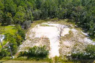 10340 Isaacson Ave, Hastings, FL 32145 - Photo 1