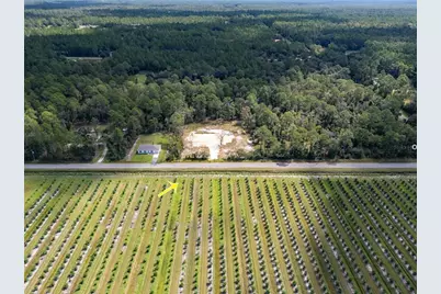 10340 Isaacson Avenue, Hastings, FL 32145 - Photo 10