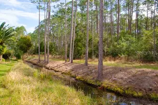 8 Eastland Ln, Palm Coast, FL 32164 - Photo 58