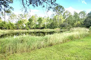 5952 Elm Ave, Bunnell, FL 32110 - Photo 28