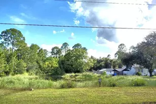 5952 Elm Ave, Bunnell, FL 32110 - Photo 24