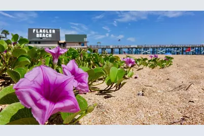 850 Grand Reserve Drive, Bunnell, FL 32110 - Photo 66