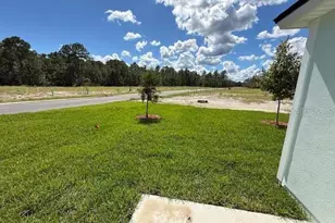 850 Grand Reserve Dr, Bunnell, FL 32110 - Photo 34