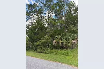 135 Ullian Trail, Palm Coast, FL 32164 - Photo 2