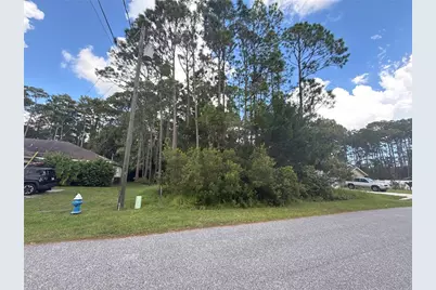 135 Ullian Trail, Palm Coast, FL 32164 - Photo 6