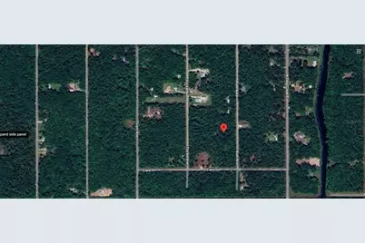 10535 Ruth Avenue, Hastings, FL 32145 - Photo 6