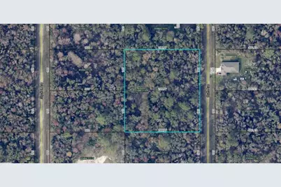 10535 Ruth Avenue, Hastings, FL 32145 - Photo 2