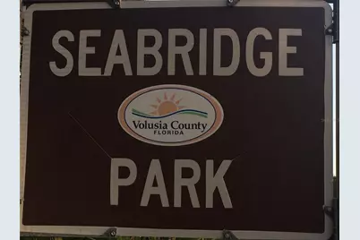 16 Julie Drive, Ormond Beach, FL 32176 - Photo 60