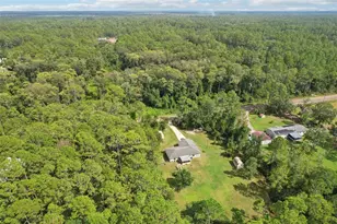 1594 Papaya St, Bunnell, FL 32110 - Photo 54