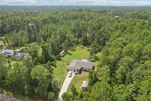 1594 Papaya St, Bunnell, FL 32110 - Photo 46