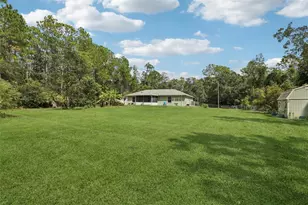 1594 Papaya St, Bunnell, FL 32110 - Photo 36