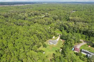 1594 Papaya St, Bunnell, FL 32110 - Photo 56