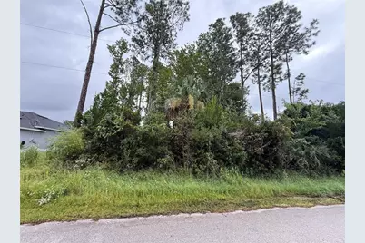 124 Fenimore Lane, Palm Coast, FL 32137 - Photo 1