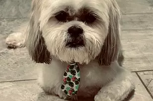 1125 Sunland Rd, Daytona Beach, FL 32114 - Photo 50