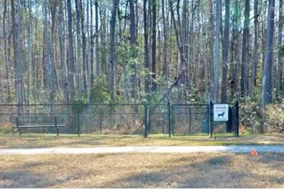 142 Dove Tree Lane, Saint Augustine, FL 32095 - Photo 40