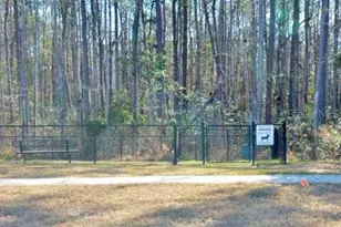 142 Dove Tree Ln, Saint Augustine, FL 32095 - Photo 40